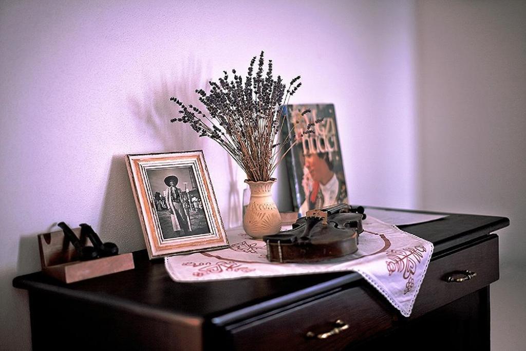 Penzion Primase Dolni Vestonice Room photo